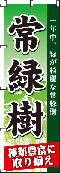 常緑樹のぼり旗-0240112IN