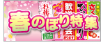 春にピッタリののぼり特集!