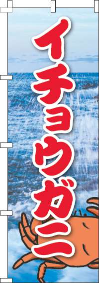 イチョウガニのぼり旗写真海-0090116IN
