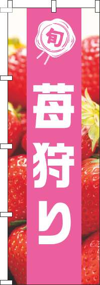 苺狩りのぼり旗写真ピンク帯-0100456IN