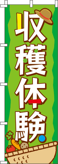 収穫体験緑のぼり旗-0130468IN