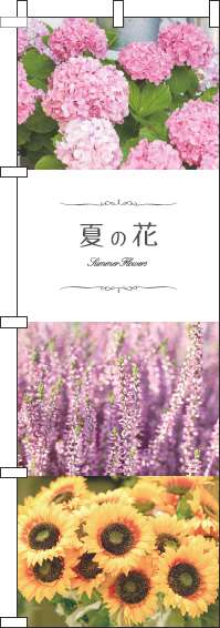 夏の花写真のぼり旗-0240046IN
