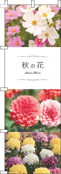 秋の花写真のぼり旗-0240047IN