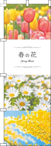 春の花写真のぼり旗-0240072IN