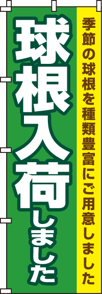 球根入荷しましたのぼり旗-0240076IN