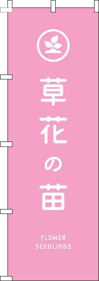 草花の苗のぼり旗ピンク-0240129IN