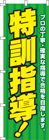 特訓指導のぼり旗-0270047IN