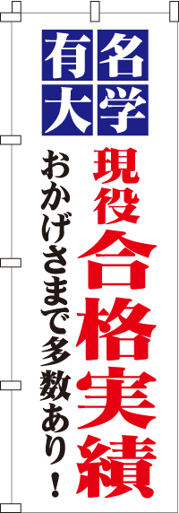 有名大学合格実績のぼり旗-0270079IN