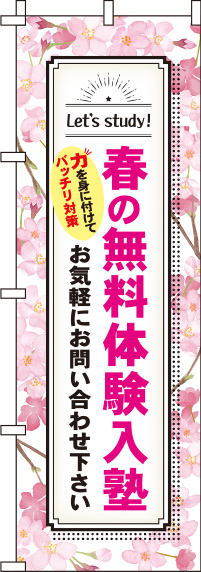 春の無料体験入塾桜のぼり旗-0270207IN